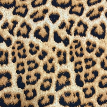 xx_crepe-de-seda-new-sabia-animal-1770edbe2c16af0c41c1187b637ab5c1-5852-0.webp