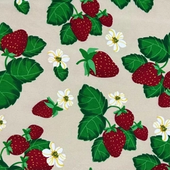 xx_tecido-oxford-estampado-mesa-m-2d4c5f5f026daf8e926899d49be6e3b4-6581-0.webp