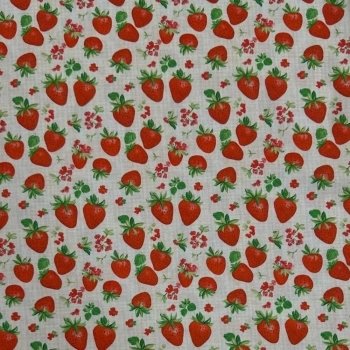 xx_tricoline-cozinha-frutasmorang-fec5934f179762ad146c8f7222d58770-7047-0.webp