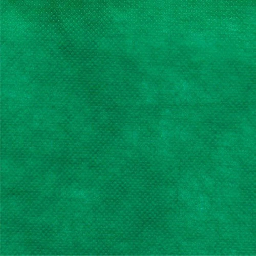 TNT LISO 100% PP 140 L 40G/M2  - VERDE (04310)